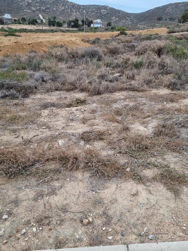 2 Bedroom Property for Sale in St Helena Views Western Cape